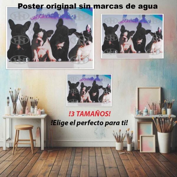 Bulldog frances Animales Mascotas, Bulldog francés-El Póster Personalizado, Historia Nuestra