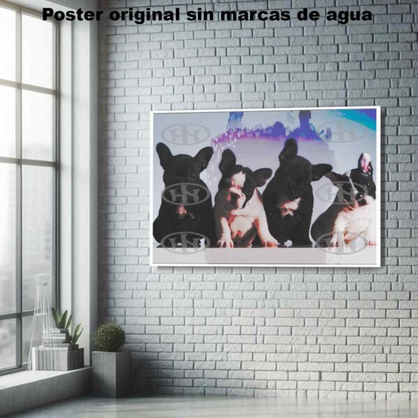 Bulldog frances Animales Mascotas, Bulldog francés-El Póster Personalizado, Historia Nuestra