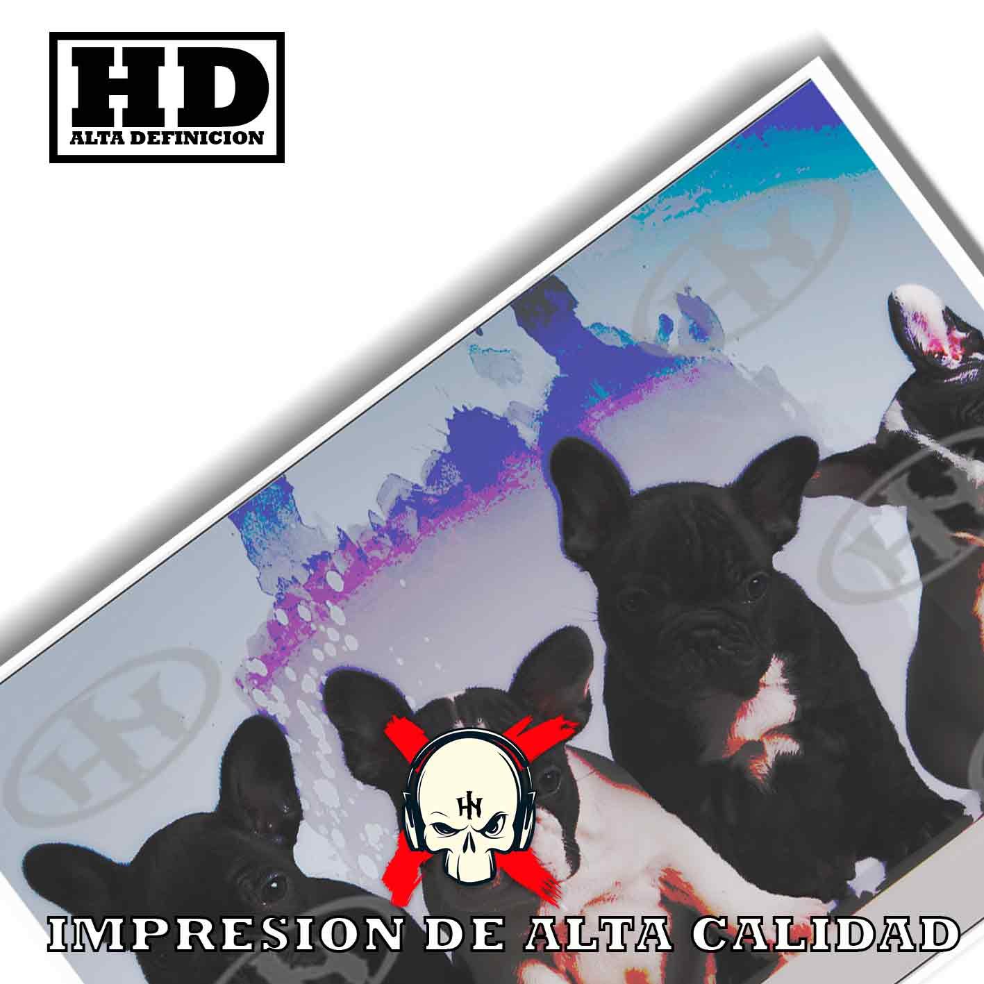 Bulldog francés-El Póster Personalizado Para Tu Espacio, Animales, Historia Nuestra Bulldog frances Animales Mascotas, Bulldog francés-El Póster Personalizado, Historia Nuestra