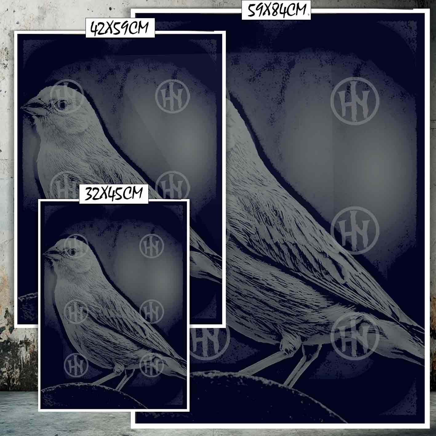 Canarios Animales Mascotas Poster de Historia Nuestra, Canarios-El Póster Personalizado, Historia Nuestra