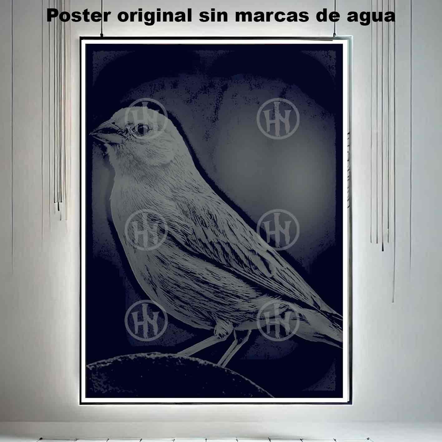 Canarios Animales Mascotas Poster de Historia Nuestra, Canarios-El Póster Personalizado, Historia Nuestra
