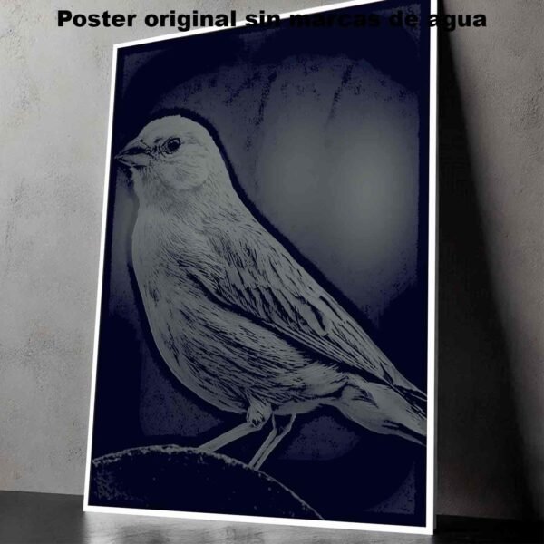 Canarios Animales Mascotas Poster de Historia Nuestra, Canarios-El Póster Personalizado, Historia Nuestra