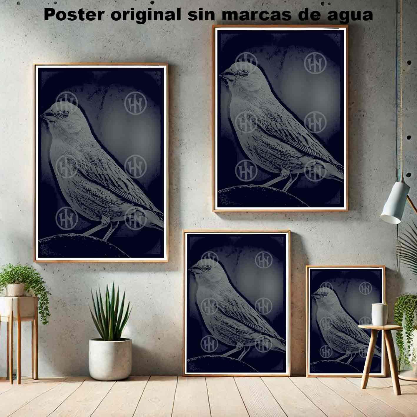 Canarios Animales Mascotas Poster de Historia Nuestra, Canarios-El Póster Personalizado, Historia Nuestra