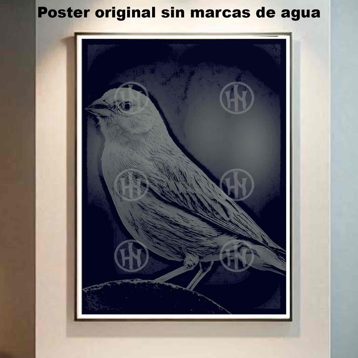 Canarios Animales Mascotas Poster de Historia Nuestra, Canarios-El Póster Personalizado, Historia Nuestra