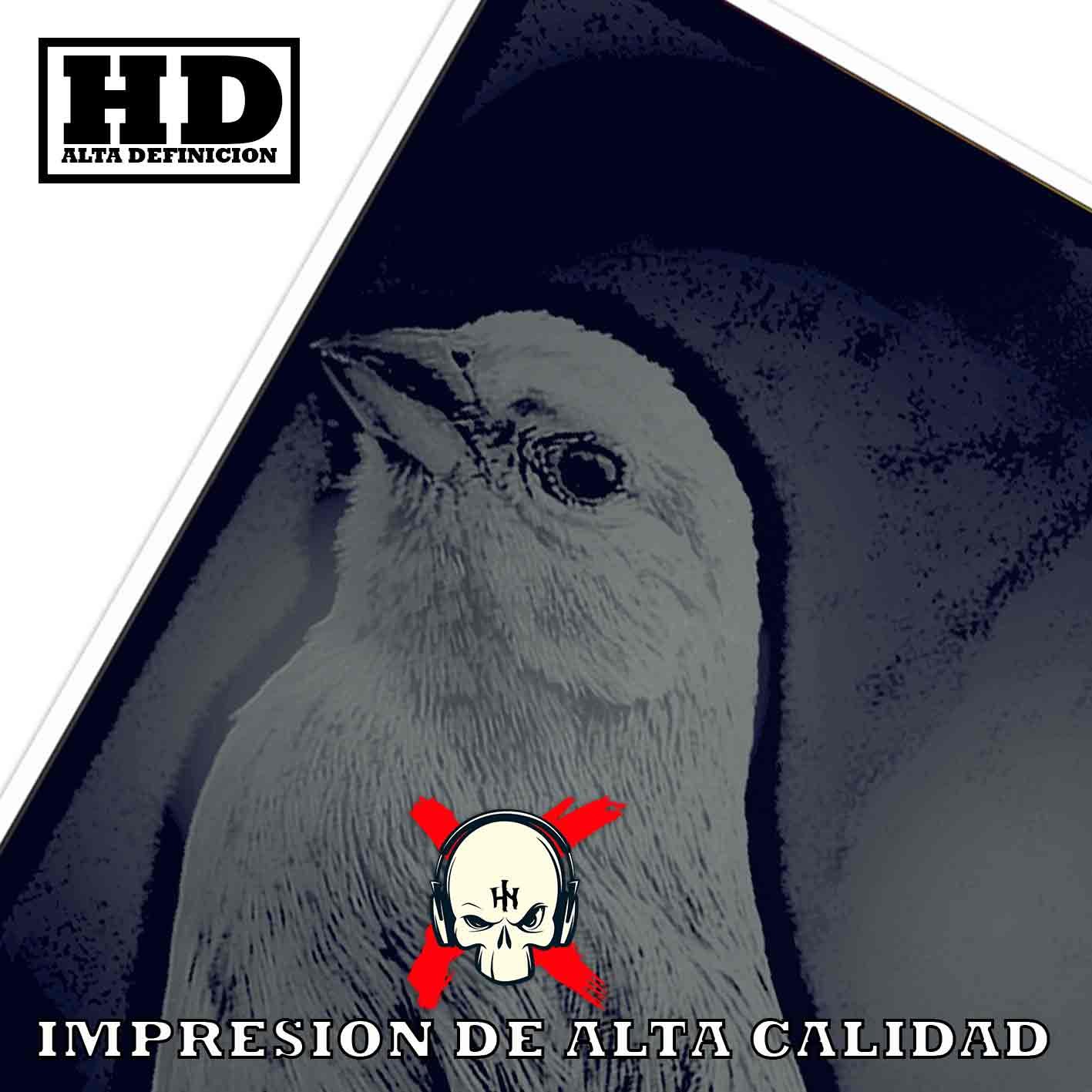 Canarios Animales Mascotas Poster de Historia Nuestra, Canarios-El Póster Personalizado, Historia Nuestra