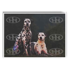 Póster, Póster Animales, Poster Dalmata, Poster MascotasPosters Historia Nuestra | Historia Nuestra