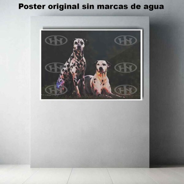 Dalmata Animales Mascotas, Dalmata-El Póster Personalizado, Historia Nuestra