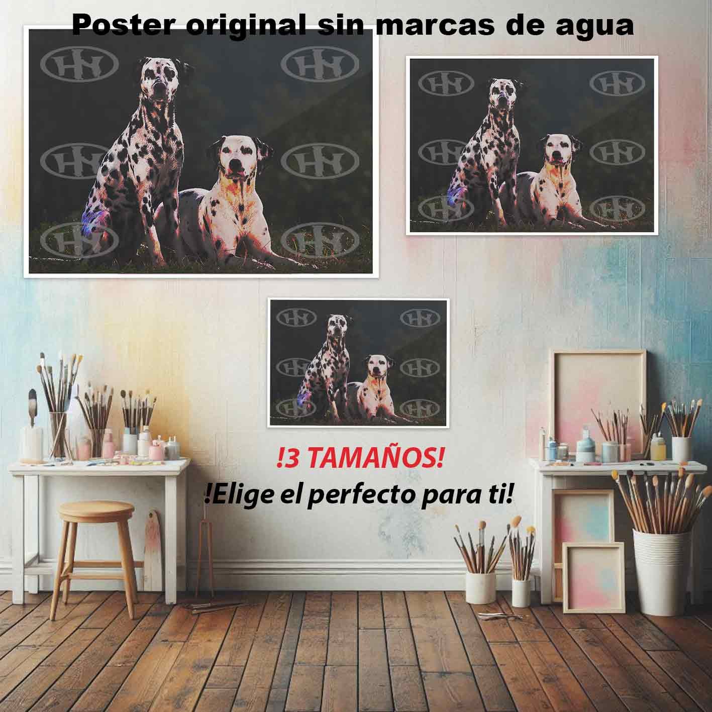 Dalmata Animales Mascotas, Dalmata-El Póster Personalizado, Historia Nuestra