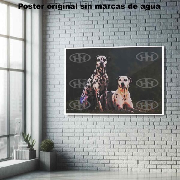 Dalmata Animales Mascotas, Dalmata-El Póster Personalizado, Historia Nuestra