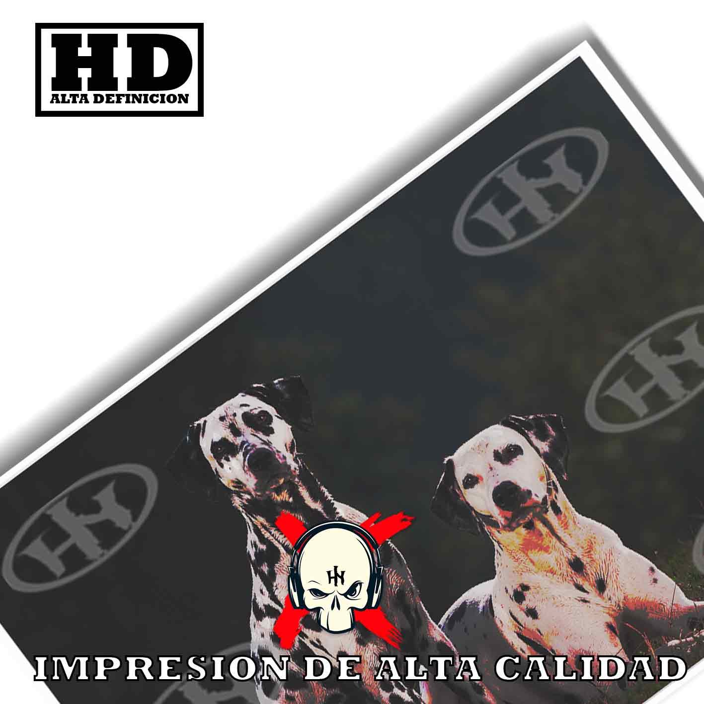 Dalmata Animales Mascotas, Dalmata-El Póster Personalizado, Historia Nuestra
