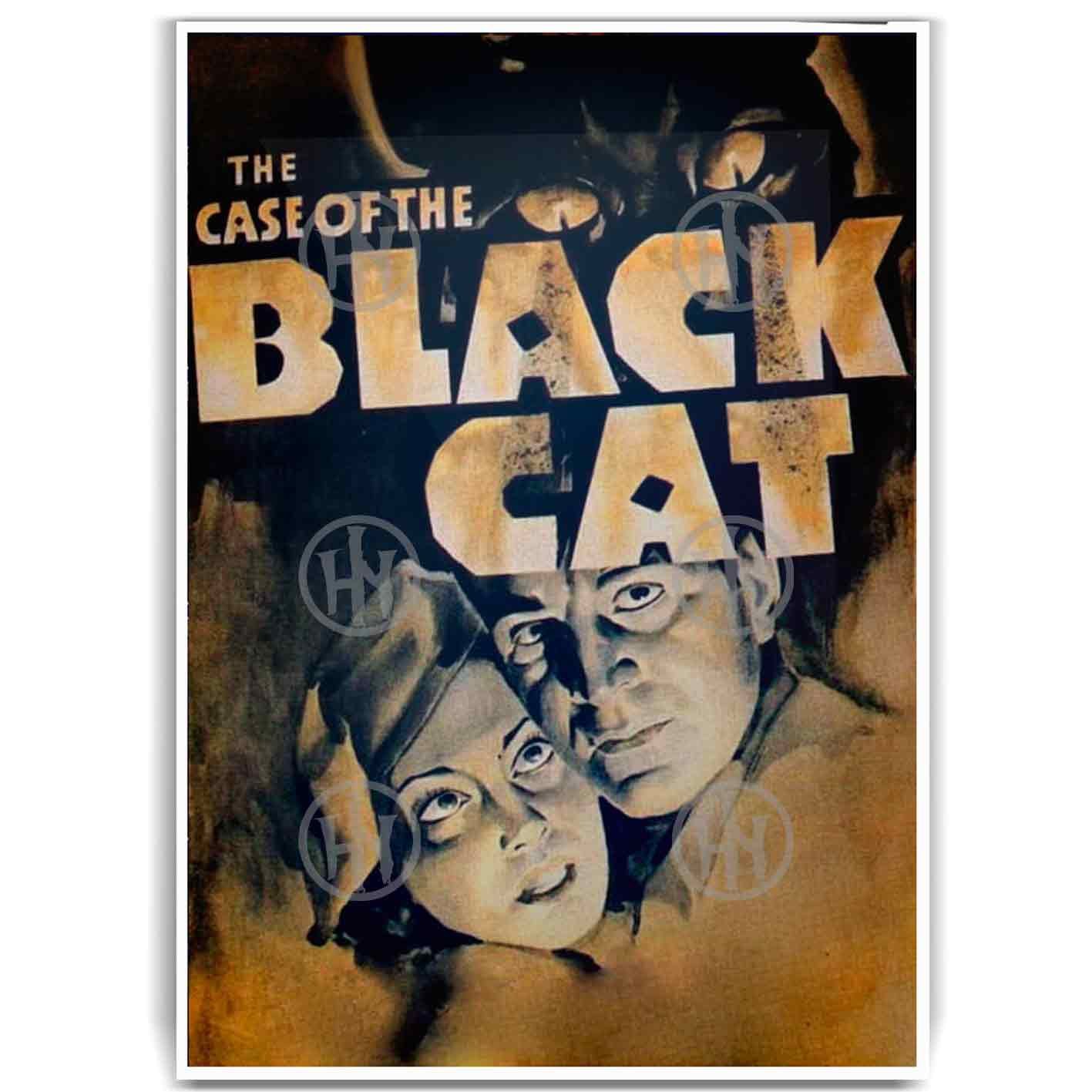 Póster, Póster Cine, Poster El Caso del Gato Negro, Poster SuspensePosters Historia Nuestra | Historia Nuestra