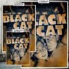 Hanna Poster Castle Rock de Historia Nuestra, El Caso del Gato Negro-El Póster Personalizado, Historia Nuestra