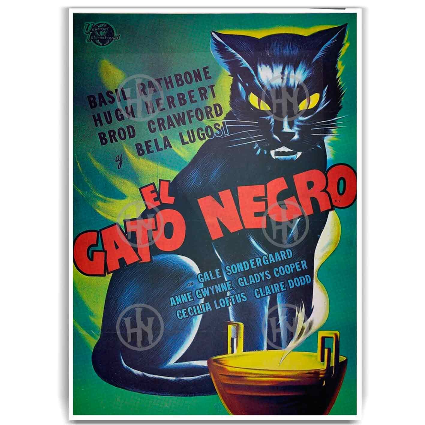 Póster, Póster Cine, Poster El Gato Negro, Poster SuspensePosters Historia Nuestra | Historia Nuestra