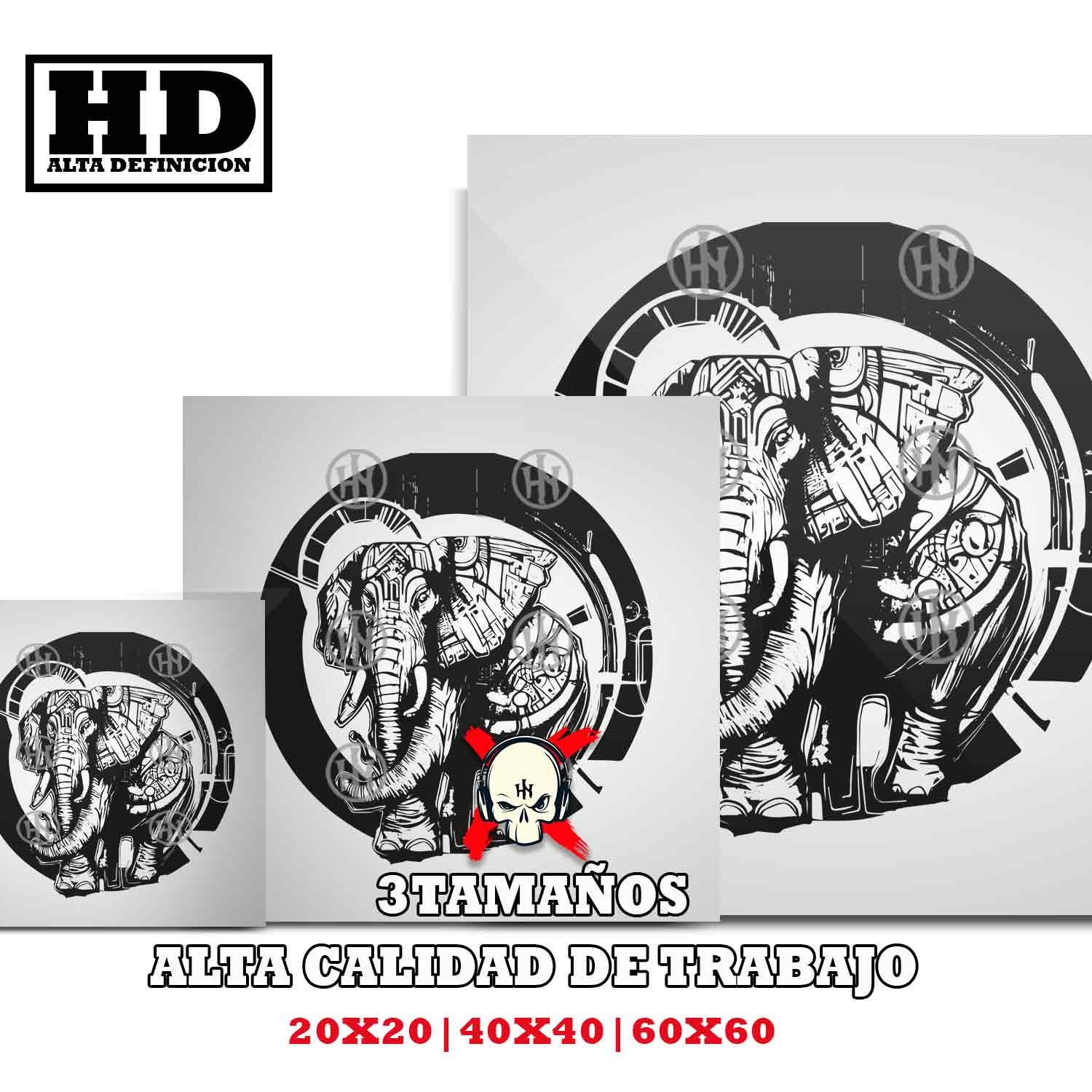 Ganesha Karma, Adhesivo exclusivo de Ganesha, Historia Nuestra