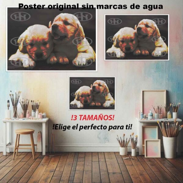 Golden retriever Animales Mascotas, Golden retriever-El Póster Personalizado, Historia Nuestra