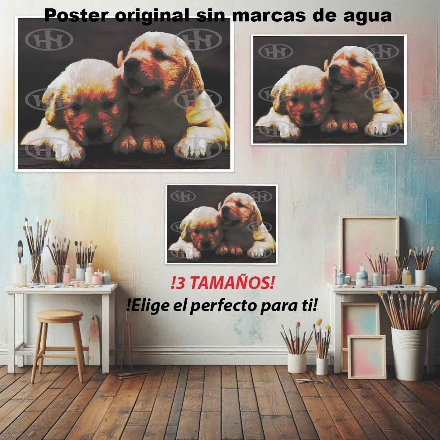 Golden retriever Animales Mascotas, Golden retriever-El Póster Personalizado, Historia Nuestra