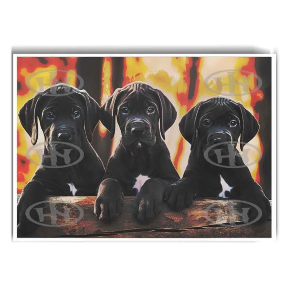 Póster, Póster Animales, Poster Gran Danes, Poster MascotasPosters Historia Nuestra | Historia Nuestra
