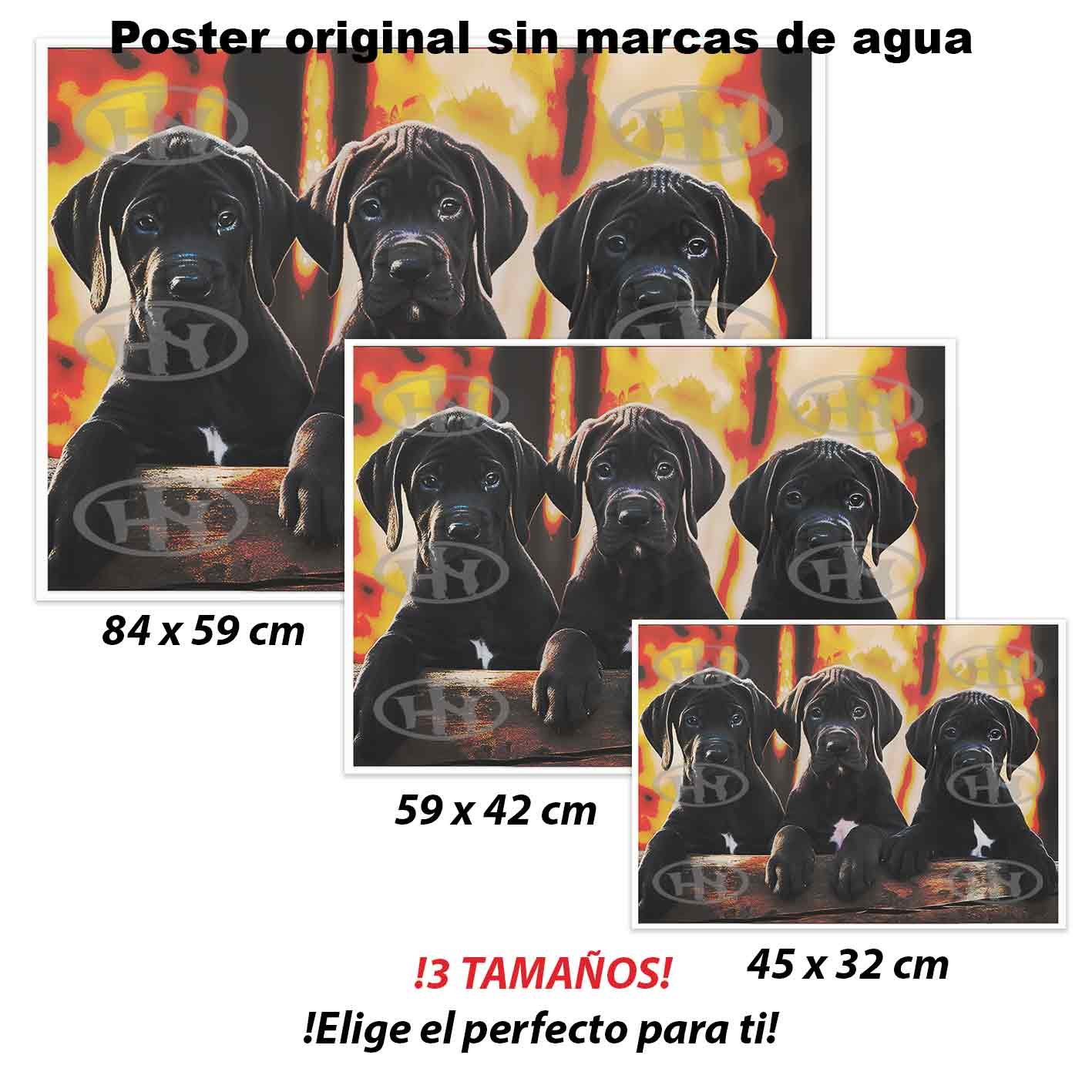 Gran Danes Animales Mascotas, Gran Danes-El Póster Personalizado, Historia Nuestra