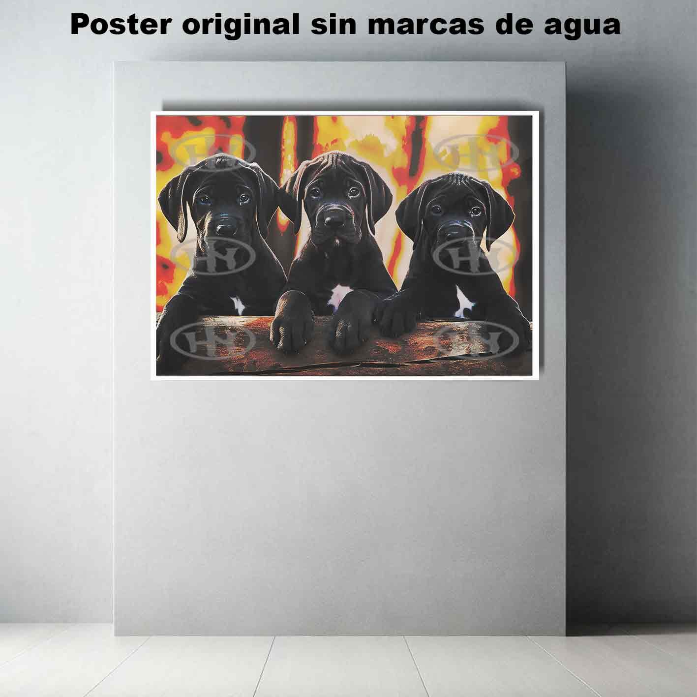 Gran Danes Animales Mascotas, Gran Danes-El Póster Personalizado, Historia Nuestra