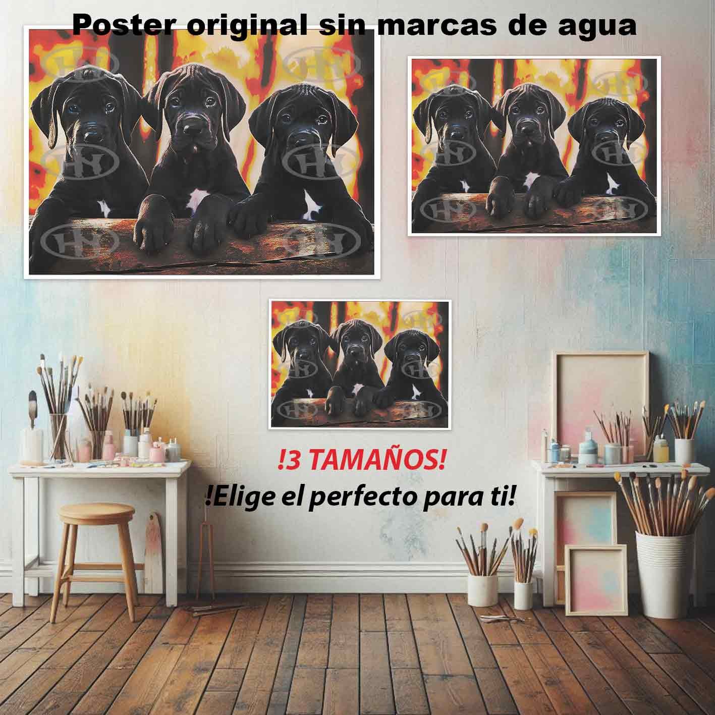 Gran Danes Animales Mascotas, Gran Danes-El Póster Personalizado, Historia Nuestra