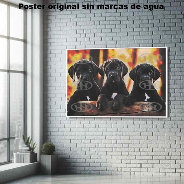 Gran Danes Animales Mascotas, Gran Danes-El Póster Personalizado, Historia Nuestra