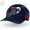 Hero Gorra panels de Historia Nuestra, , Historia Nuestra
