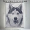 Husky siberiano-El Póster Personalizado Para Tu Espacio, Animales, Historia Nuestra Hanna Poster Castle Rock de Historia Nuestra, Husky siberiano-El Póster Personalizado, Historia Nuestra
