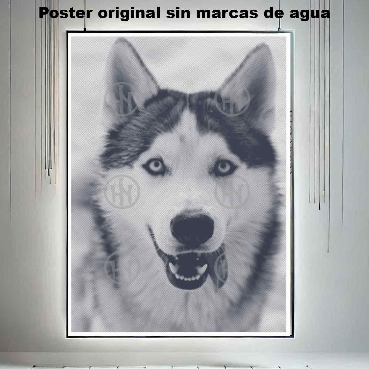 Husky siberiano-El Póster Personalizado Para Tu Espacio, Animales, Historia Nuestra Hanna Poster Castle Rock de Historia Nuestra, Husky siberiano-El Póster Personalizado, Historia Nuestra