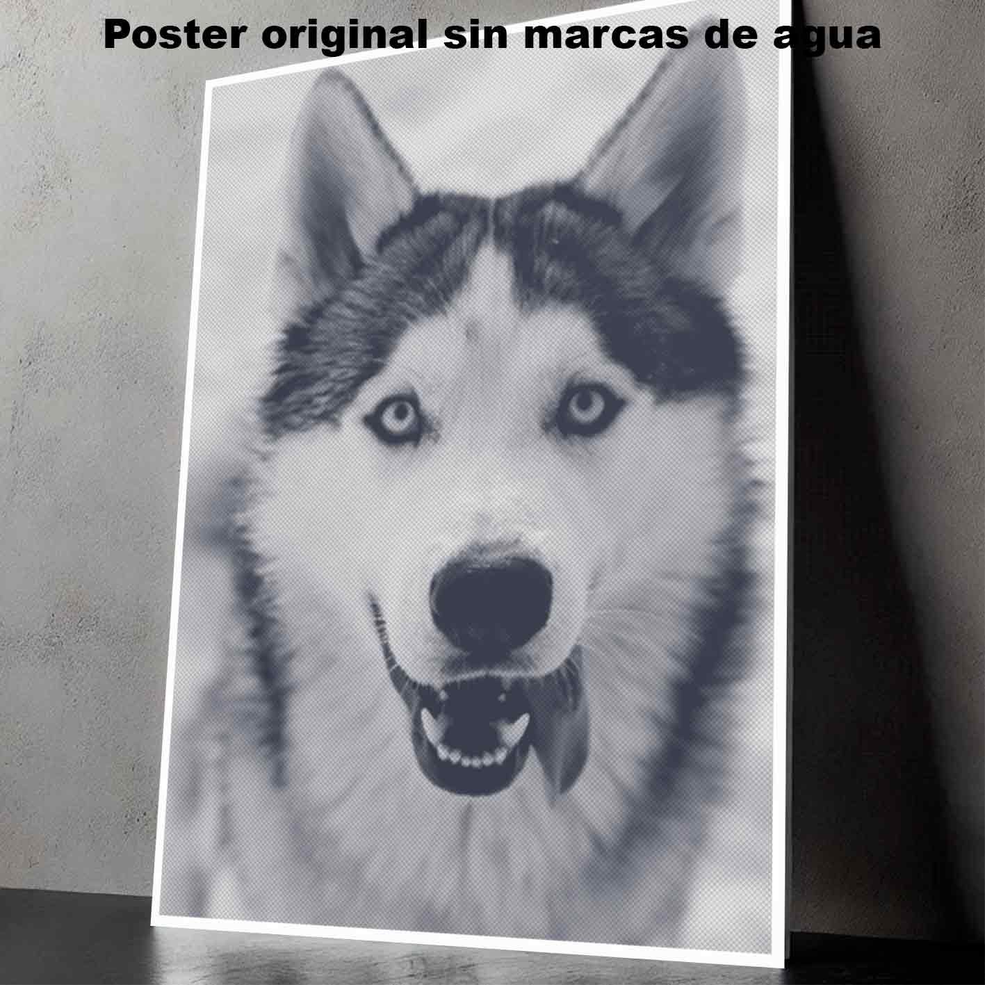 Husky siberiano-El Póster Personalizado Para Tu Espacio, Animales, Historia Nuestra Hanna Poster Castle Rock de Historia Nuestra, Husky siberiano-El Póster Personalizado, Historia Nuestra