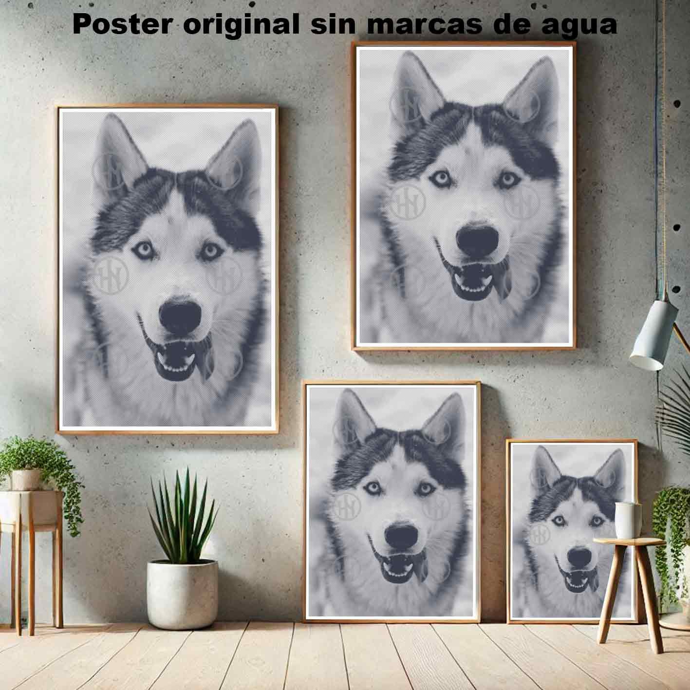 Husky siberiano-El Póster Personalizado Para Tu Espacio, Animales, Historia Nuestra Hanna Poster Castle Rock de Historia Nuestra, Husky siberiano-El Póster Personalizado, Historia Nuestra