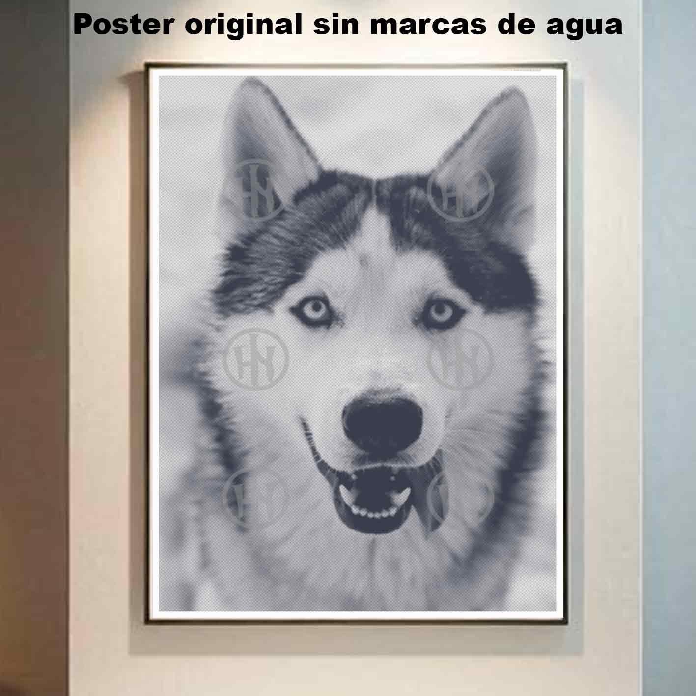 Husky siberiano-El Póster Personalizado Para Tu Espacio, Animales, Historia Nuestra Hanna Poster Castle Rock de Historia Nuestra, Husky siberiano-El Póster Personalizado, Historia Nuestra