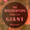 LTEzMTcuanBlZw jpeg, The Woodentops, Historia Nuestra