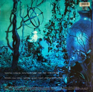 Ambient, Celtic, Enya, Folk, LP, New Age | Historia Nuestra