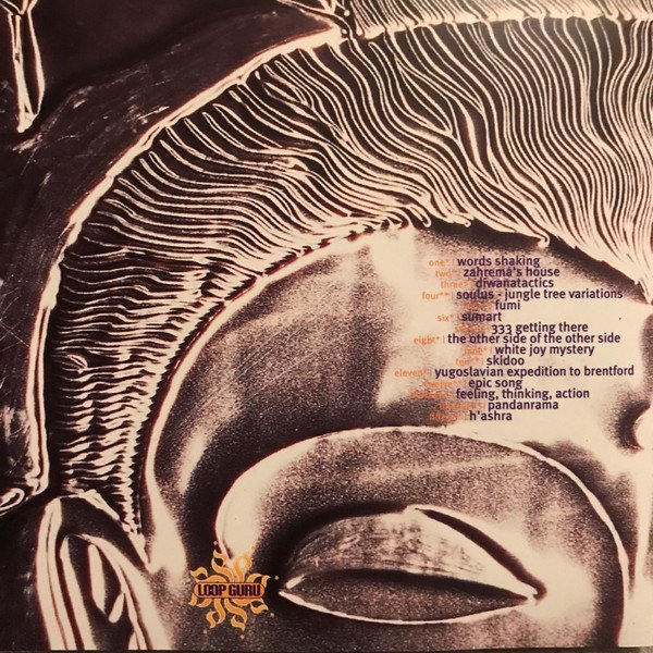 CD, Downtempo, Leftfield, Loop Guru, Tribal | Historia Nuestra