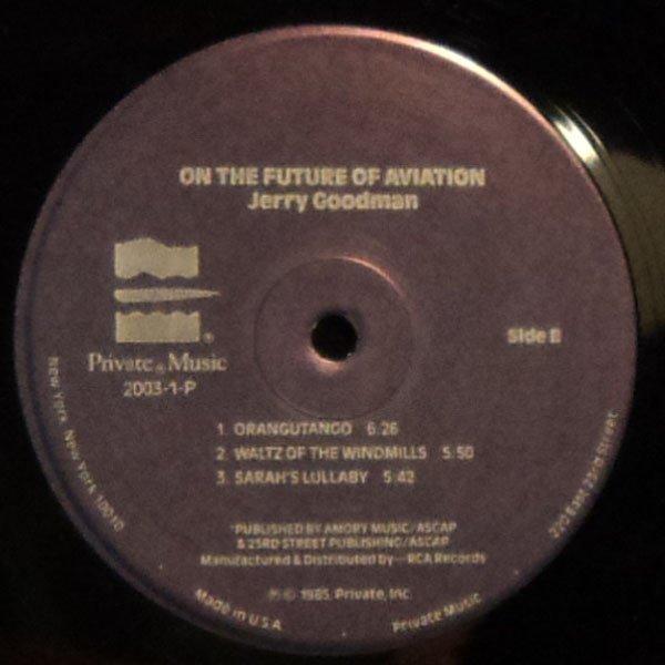 Ambient, Jerry Goodman, LP | Historia Nuestra