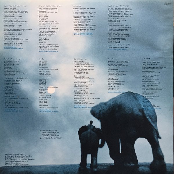 Avantgarde, LP, New Wave, Pop Rock, Synthpop, The Epidemics : Shankar / Caroline | Historia Nuestra