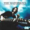 LTkzNjYuanBlZw jpeg, The Waterboys, Historia Nuestra