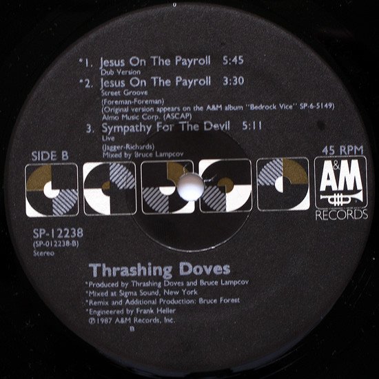 12 inch, Synthpop, Thrashing Doves | Historia Nuestra