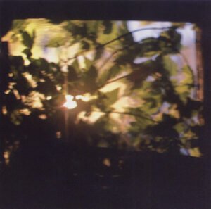 Abstract, CD, Experimental, Jeph Jerman | Historia Nuestra