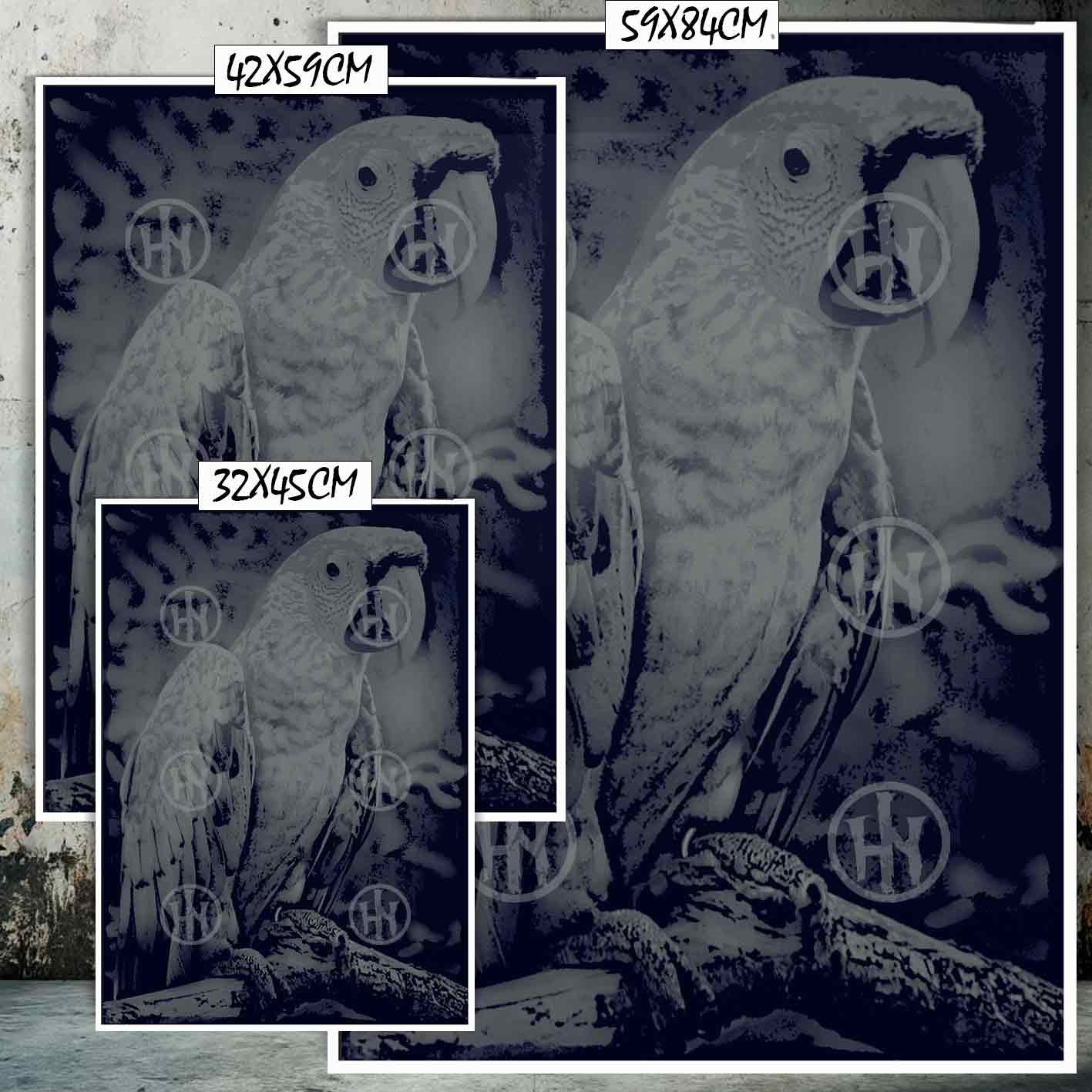 Loro-El Póster Personalizado Para Tu Espacio, Animales, Historia Nuestra Hanna Poster Castle Rock de Historia Nuestra, Loro-El Póster Personalizado, Historia Nuestra