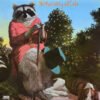 J.J. Cale Naturally-LP | Vinilos de Música | Historia Nuestra Country Blues, Folk Rock, J.J. Cale, LP | Historia Nuestra