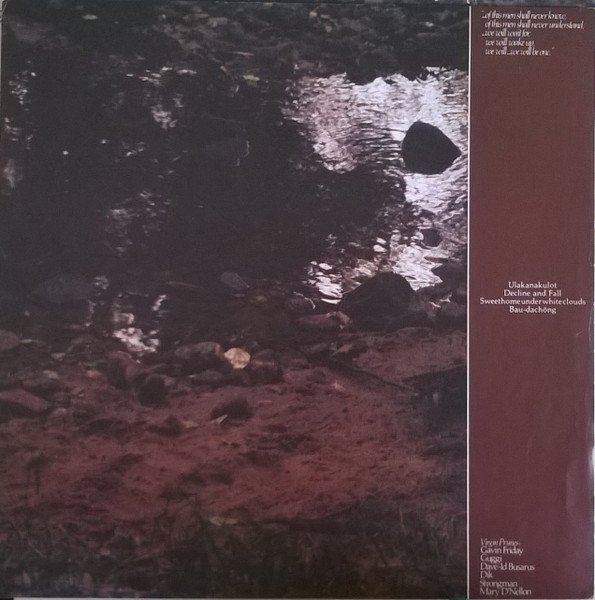 Darkwave, Goth Rock, LP, Virgin Prunes | Historia Nuestra