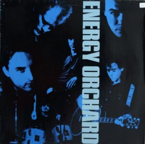 Energy Orchard, Folk Rock, LP | Historia Nuestra