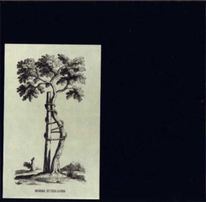 CD, Folk Rock, Indie Rock, Mishima, Pop Rock | Historia Nuestra