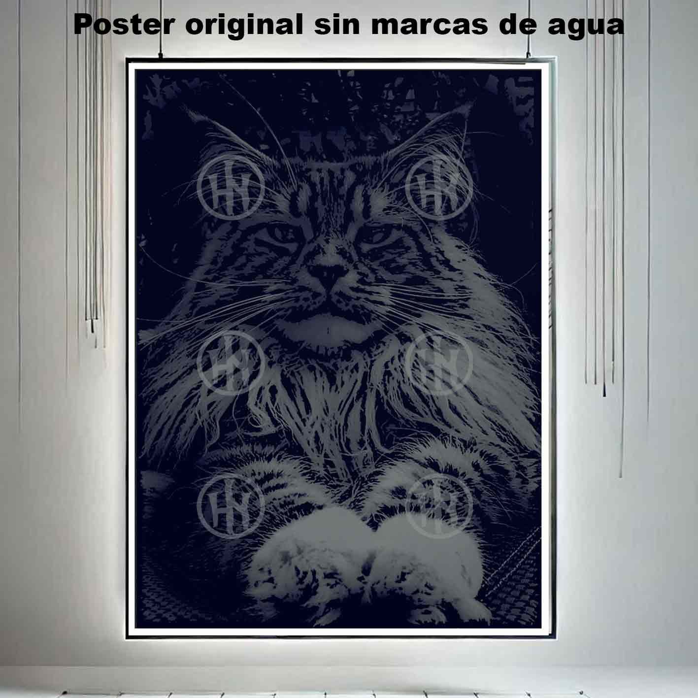 Maine coon-El Póster Personalizado Para Tu Espacio, Animales, Historia Nuestra Hanna Poster Castle Rock de Historia Nuestra, Maine coon-El Póster Personalizado, Historia Nuestra