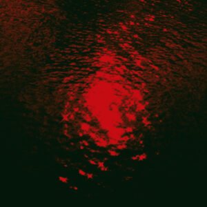 Celica XX, LP, Noise, Psychedelic Rock, Shoegaze | Historia Nuestra