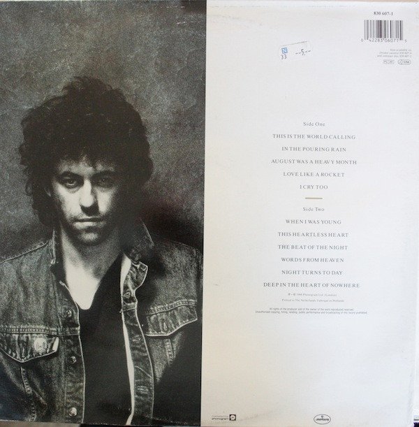 Bob Geldof, LP, Pop Rock, Synthpop | Historia Nuestra