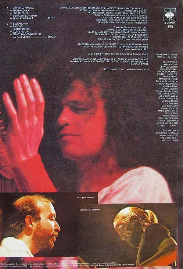 Ambient, Andreas Vollenweider, LP, New Age | Historia Nuestra