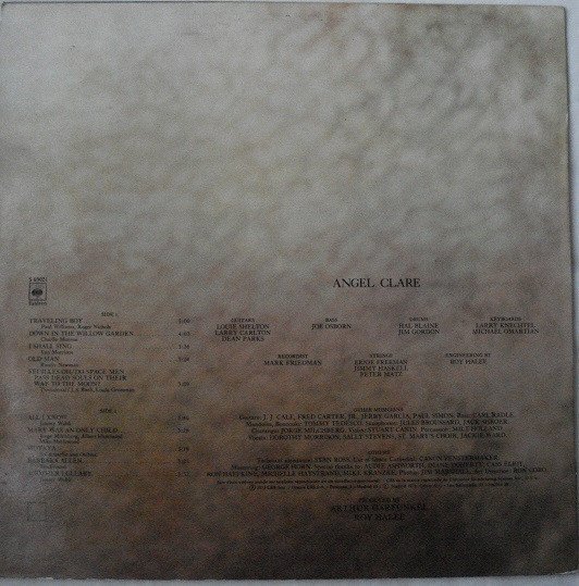 Art Garfunkel, Folk Rock, LP | Historia Nuestra