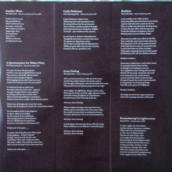 Alternative Rock, Duke Special, LP | Historia Nuestra